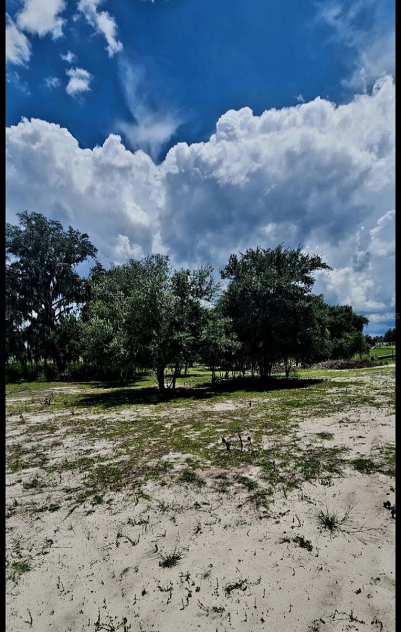 562 Libby Road, Babson Park, FL 33827 Photo
