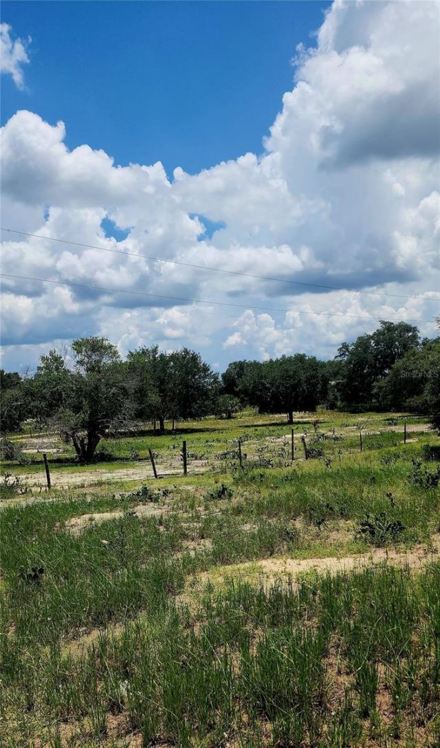 562 Libby Road, Babson Park, FL 33827 Photo