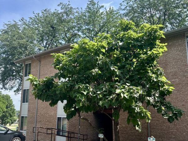 5811 Oakwood Drive , Unit F, Lisle, IL 60532