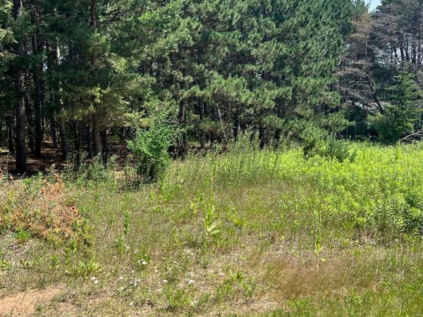 TBD Thomas Drive , Little Falls, MN 56345