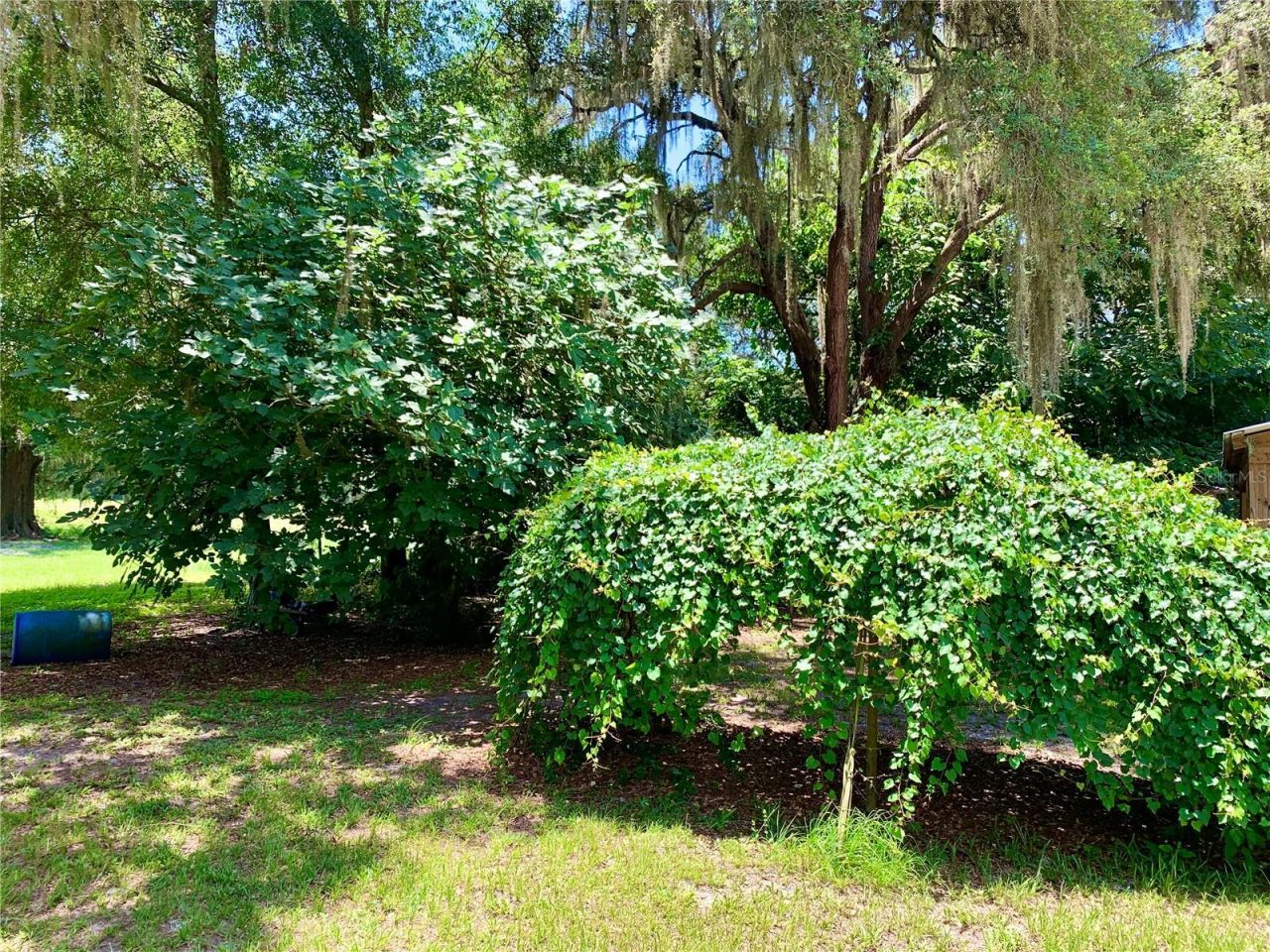 15770 NW 60th Avenue , Chiefland, FL 32626 Photo