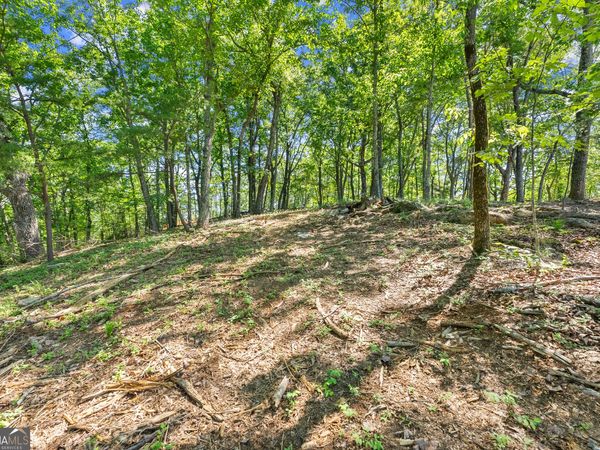 95 Chimney Oaks Trail, Cleveland, GA 30528