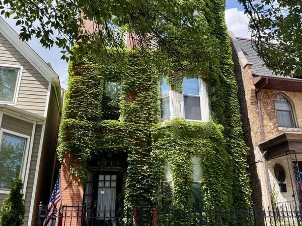 1132 W Addison Street , Unit 2, Chicago, IL 60613