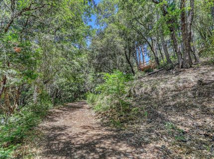 100 Carrier Circle, Sierra City, CA 96125 Photo