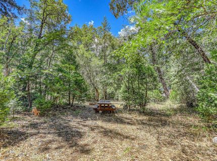 100 Carrier Circle, Sierra City, CA 96125 Photo