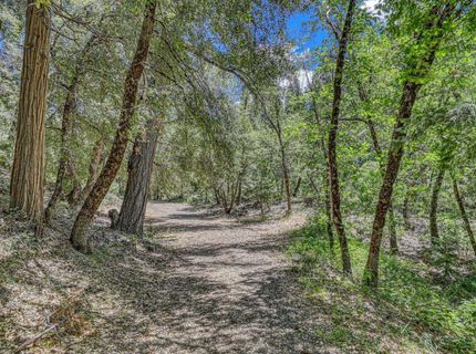 100 Carrier Circle, Sierra City, CA 96125 Photo