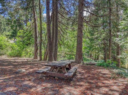 100 Carrier Circle, Sierra City, CA 96125 Photo