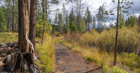12798 Northwoods Boulevard, Unit #425, Truckee, CA 96161 Photo
