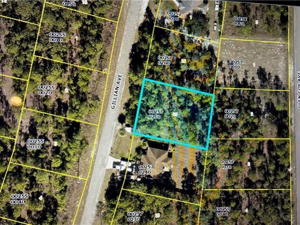 823 Gillian AVE, LEHIGH ACRES, FL 33974