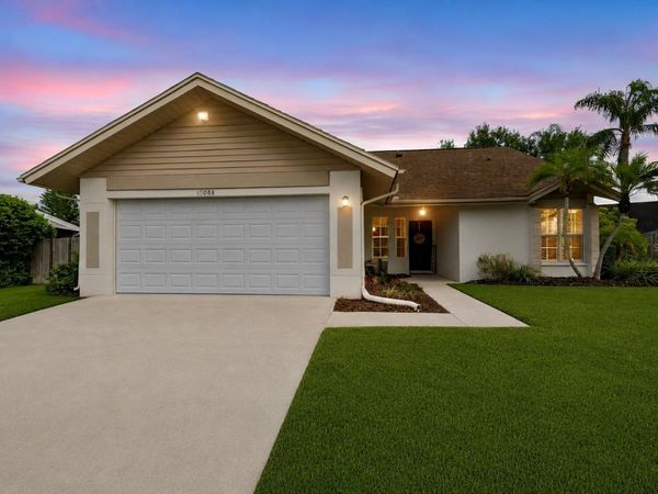 12008 PEONY COURT , TAMPA, FL 33635