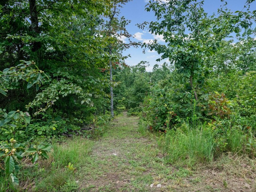 Property Image 41