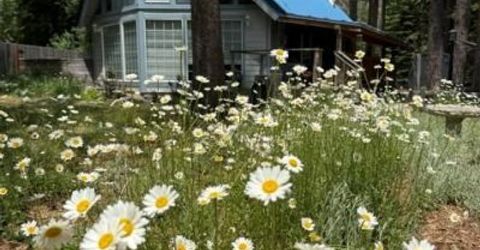 643 Seneca Drive, South Lake Tahoe, CA 96150 Photo