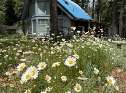 643 Seneca Drive, South Lake Tahoe, CA 96150 Photo