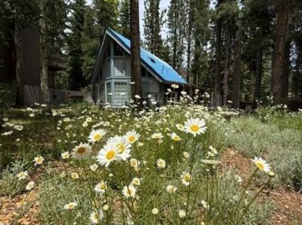 643 Seneca Drive, South Lake Tahoe, CA 96150 Photo