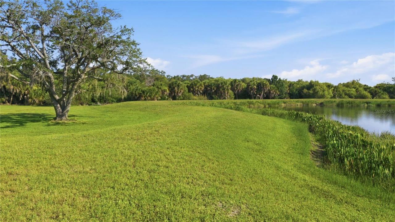 5542 Native Henna Court, Sarasota, FL 34238 Photo