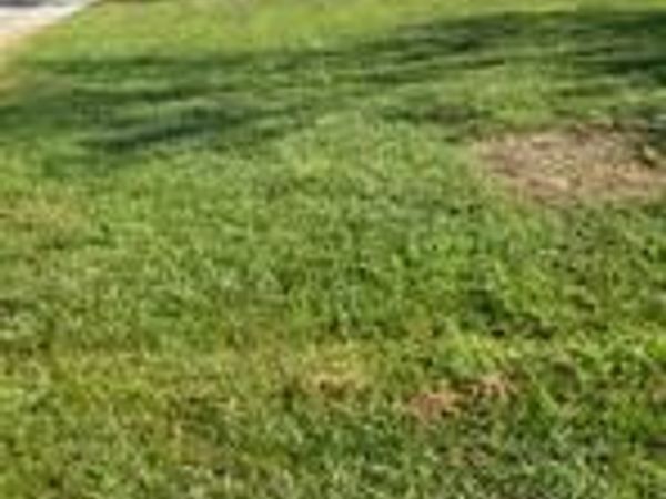 10644 Highway 322 Bellview Road, Clarksdale, MS 38614