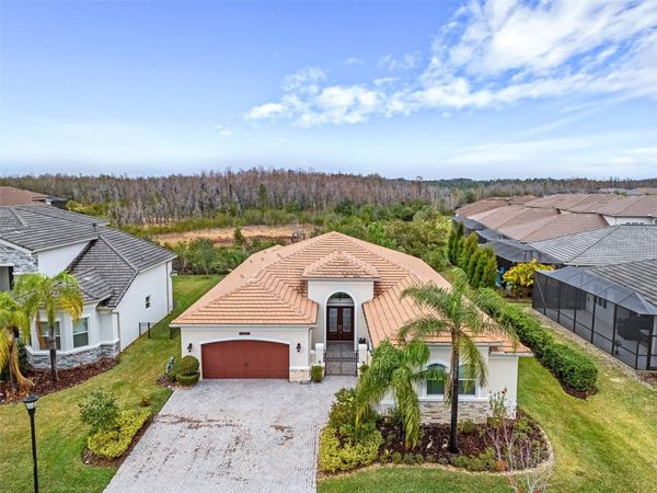 30715 TUMBLEBERRY STREET , WESLEY CHAPEL, FL 33543