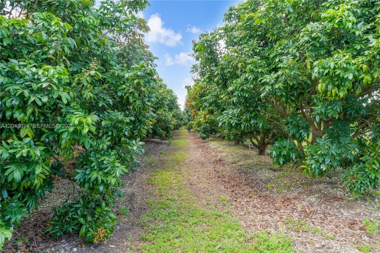 22401 SW 320th St, Homestead, FL 33030 Photo