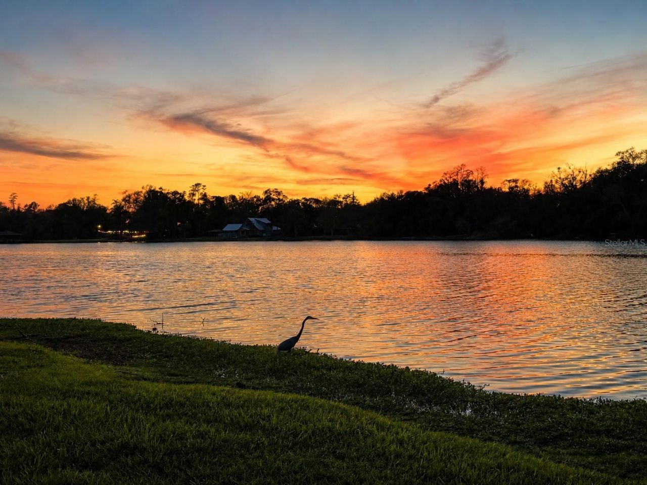 3330 Ehrlich Road, Tampa, FL 33618 Photo