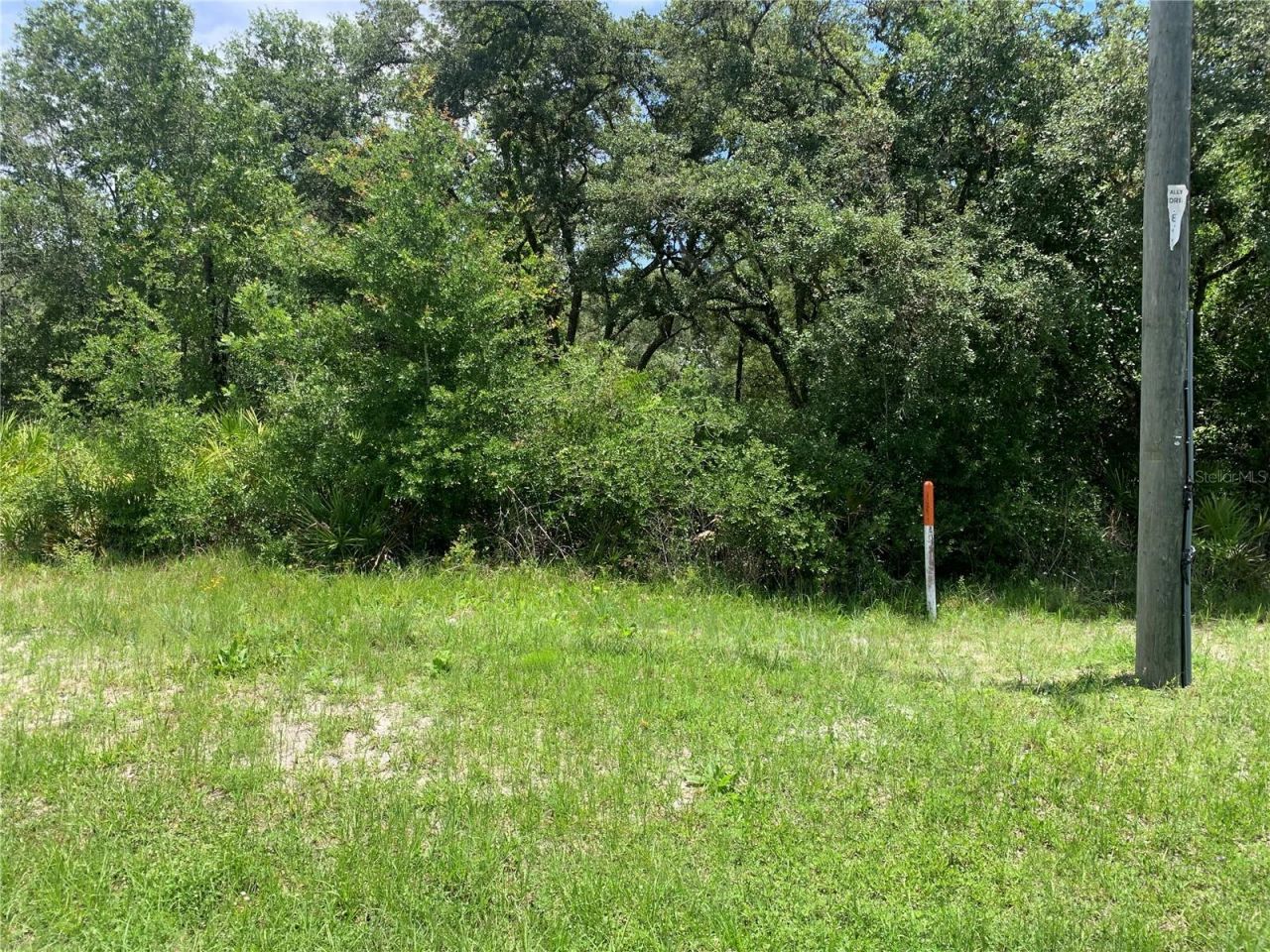 8098 Treiman Boulevard , Webster, FL 33597 Main Photo