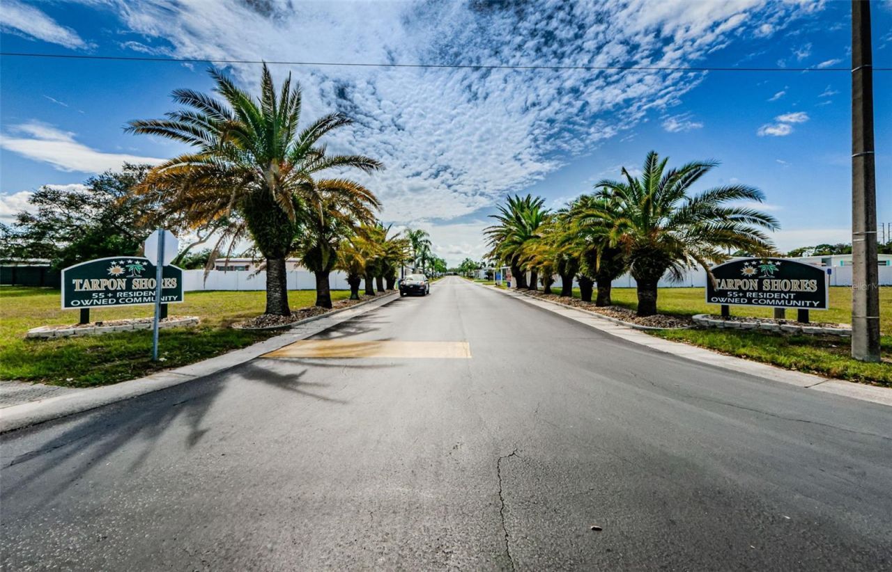 49 Drury Lane, Tarpon Springs, FL 34689 Photo