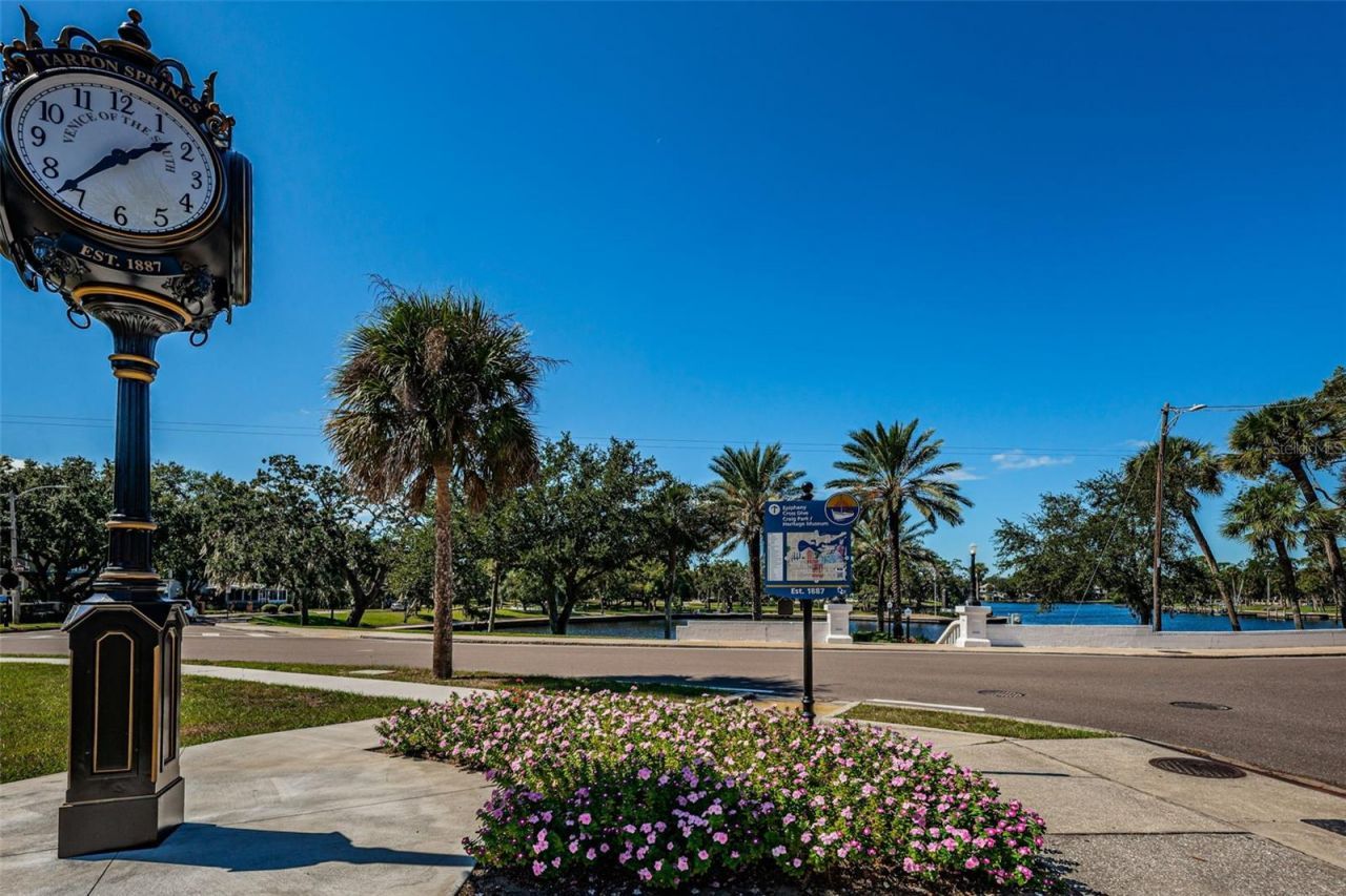 49 Drury Lane, Tarpon Springs, FL 34689 Photo