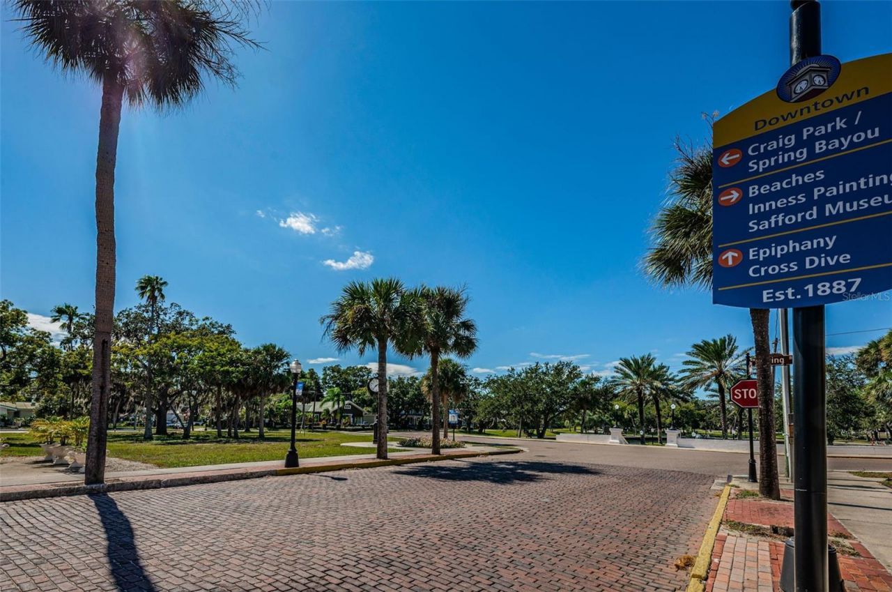 49 Drury Lane, Tarpon Springs, FL 34689 Photo