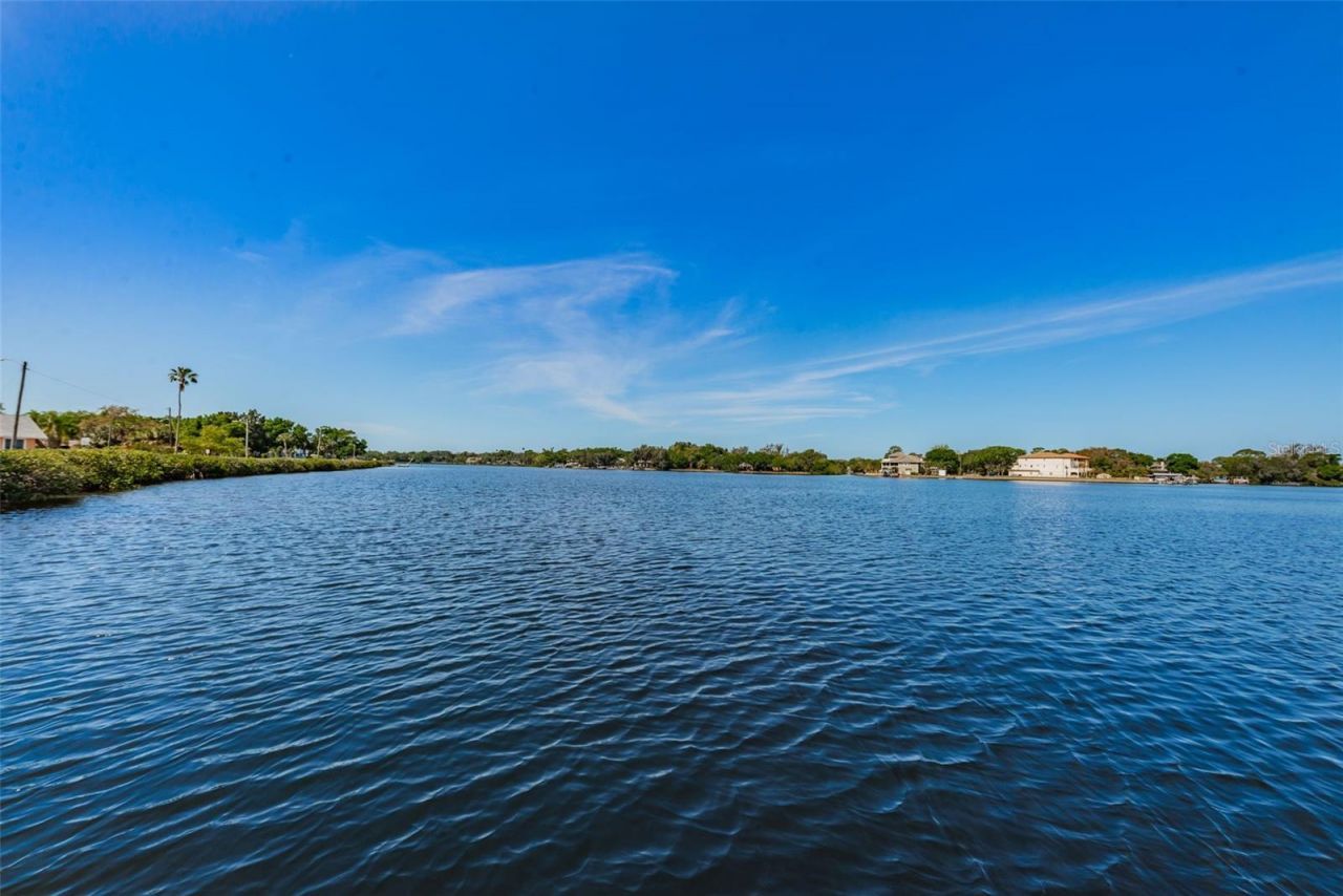 49 Drury Lane, Tarpon Springs, FL 34689 Photo