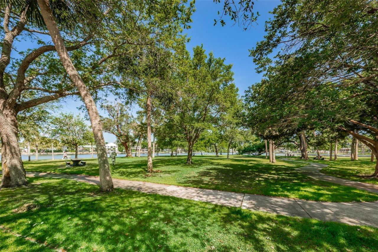 49 Drury Lane, Tarpon Springs, FL 34689 Photo