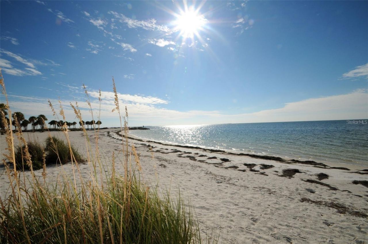 49 Drury Lane, Tarpon Springs, FL 34689 Photo