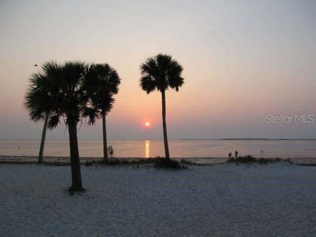 49 Drury Lane, Tarpon Springs, FL 34689 Photo