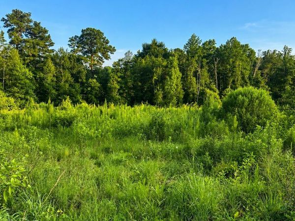 S C Road 77 , Raleigh, MS 39153