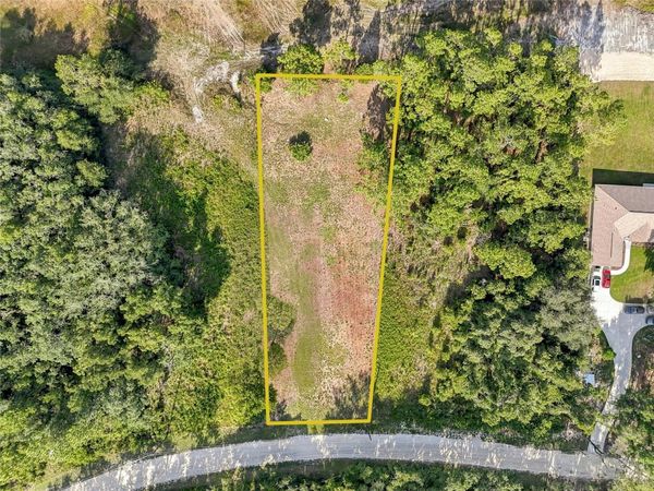 100 BERRYHILL DRIVE , WEBSTER, FL 33597