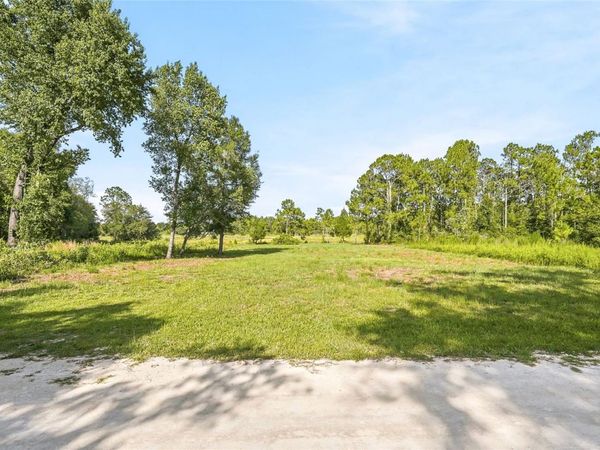 100 BERRYHILL DRIVE , WEBSTER, FL 33597