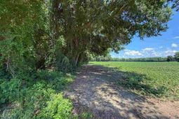 Lot 2 Meadow Court photo 4