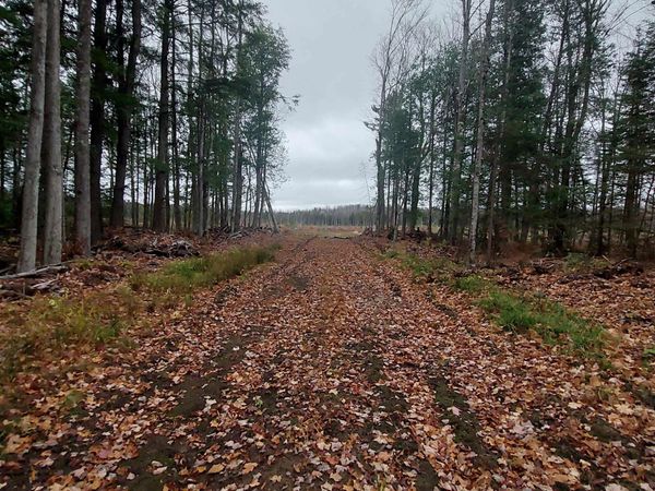 40 +/- Acres off Mangum Road, Chocolay Twp, MI 49855