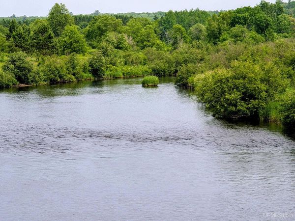 TBD Pond Road, Iron River Twp, MI 49935