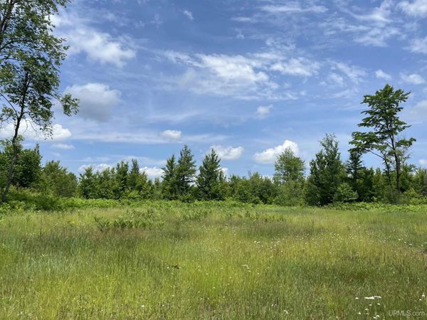 TBD Wells Grade Road, Sagola Twp, MI 49881