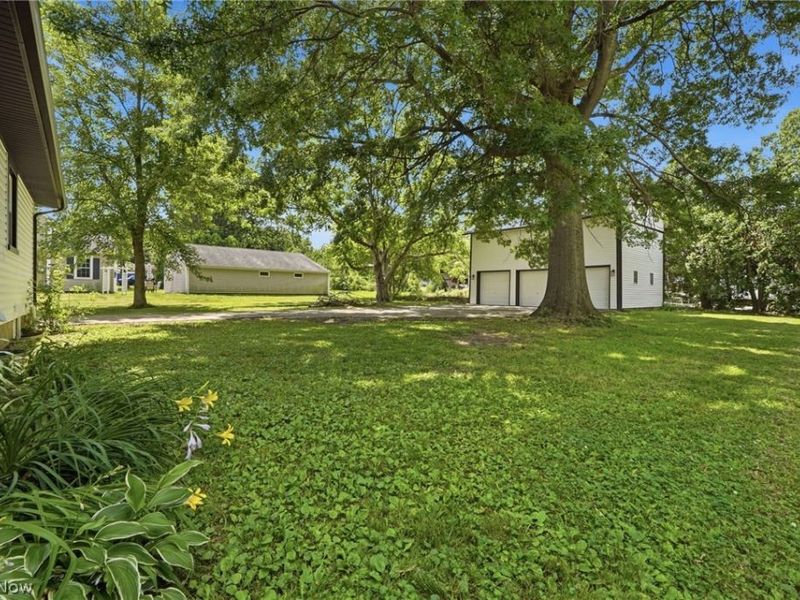 313 S Summit Street, Smithville, OH 44677 Photo 5