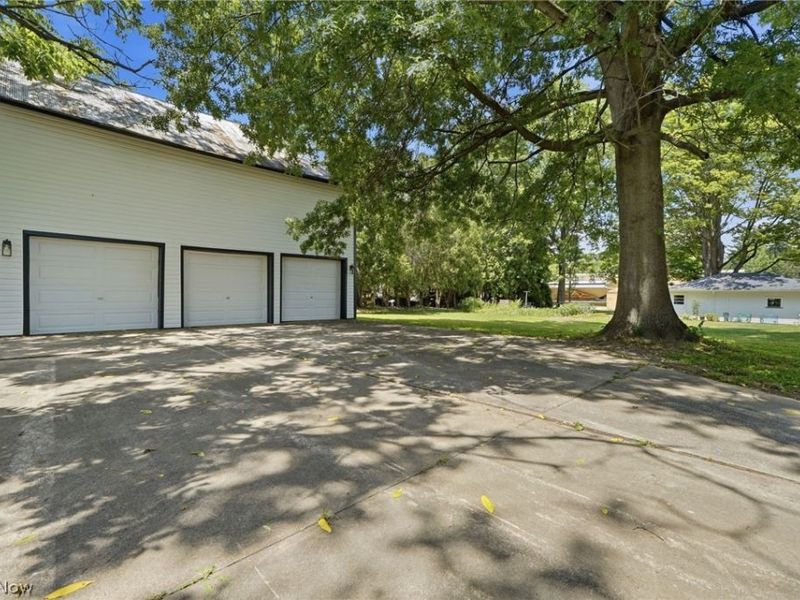313 S Summit Street, Smithville, OH 44677 Photo 6
