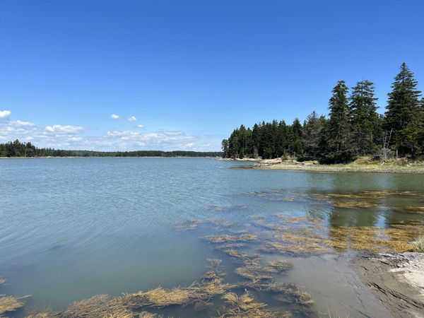86 Back Shore Road , Steuben, ME 04680