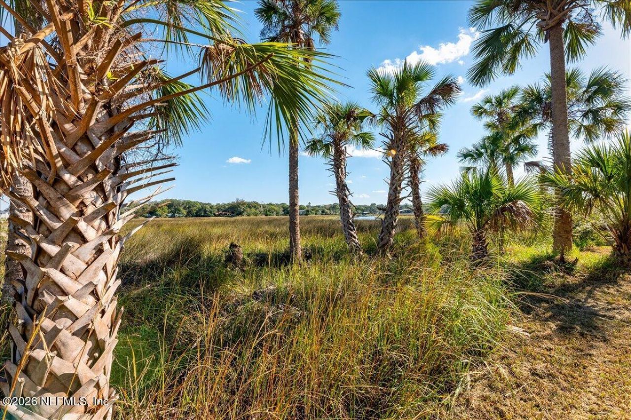 14297 Galvanized Trail, Jacksonville, FL 32225 Photo
