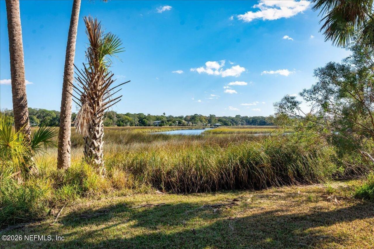 14297 Galvanized Trail, Jacksonville, FL 32225 Photo