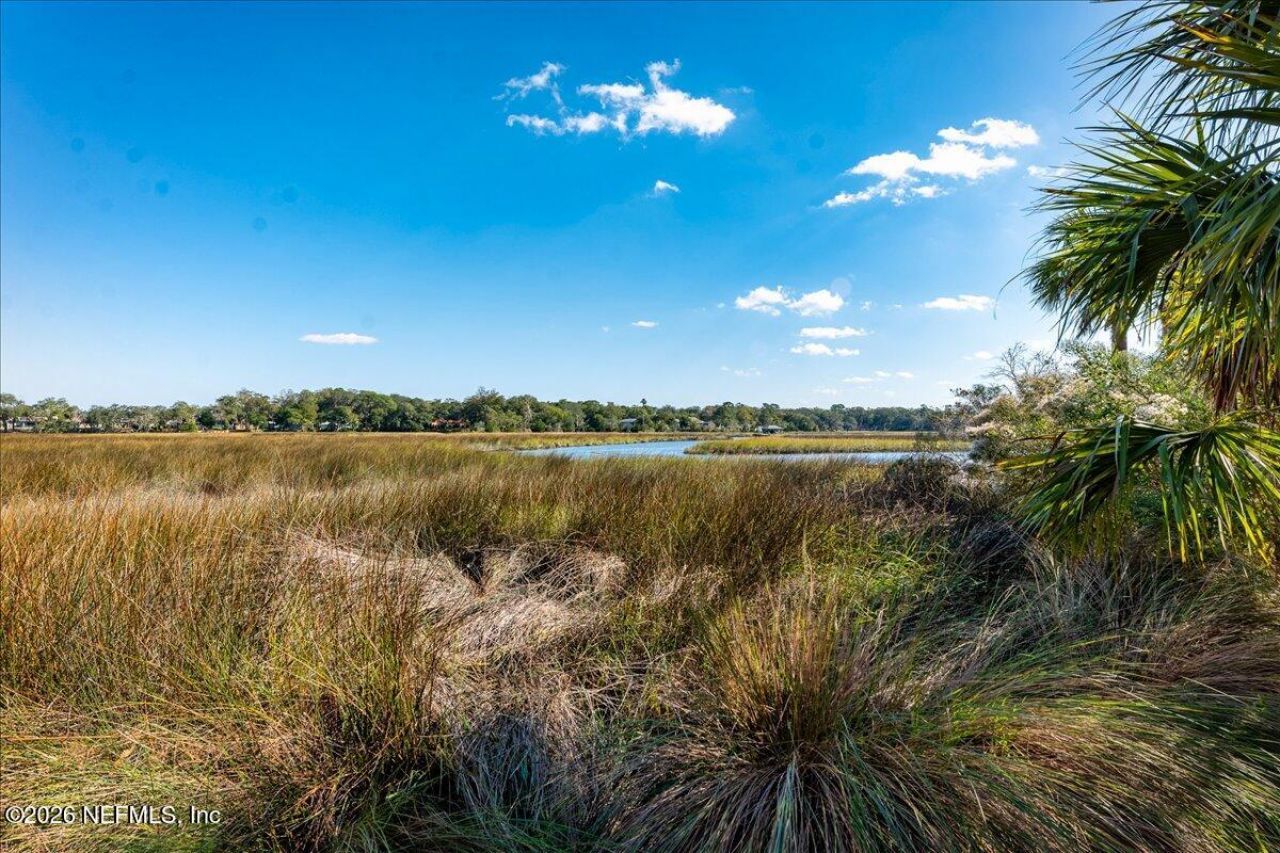 14297 Galvanized Trail, Jacksonville, FL 32225 Photo