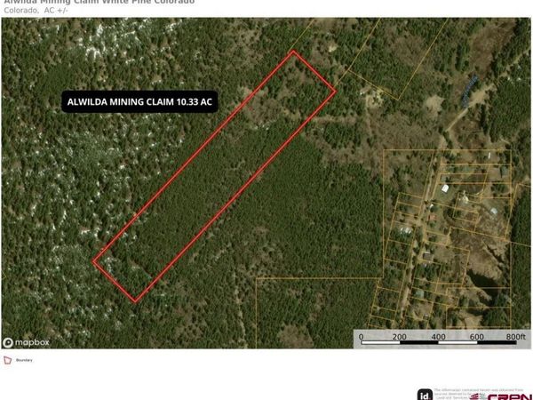 Alwilda Lode County Road 888, White Pine, CO 81428