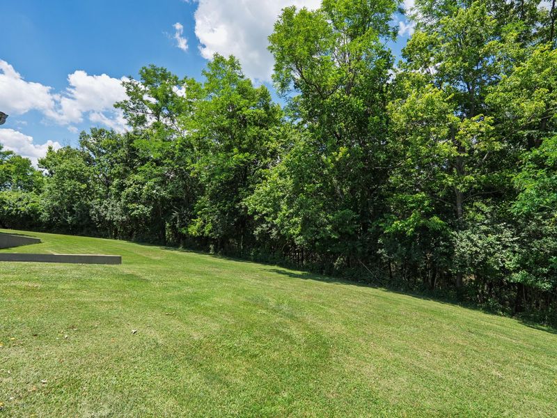 102 Harbour Pointe Drive, Williamstown, KY 41097 Photo 49