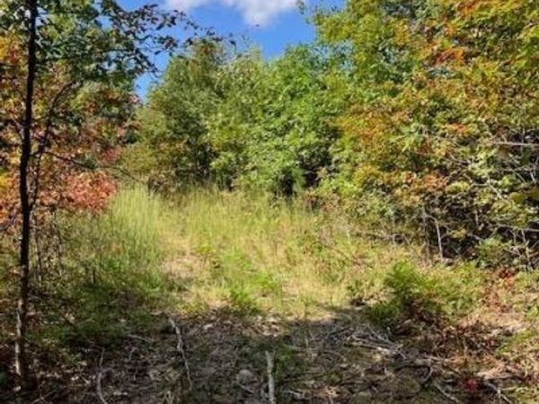 21 Church Road (CR 114) , Annapolis, MO 63620