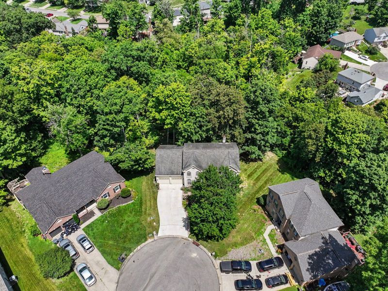 7001 Shadetree Court, Florence, KY 41042 Photo 49