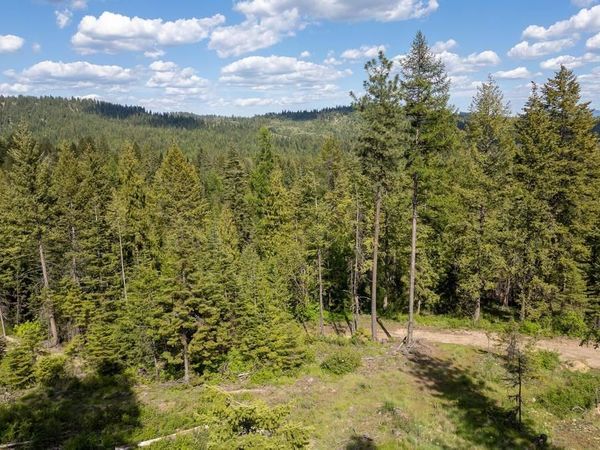 270 Lupine Ln, Newport, WA 99156