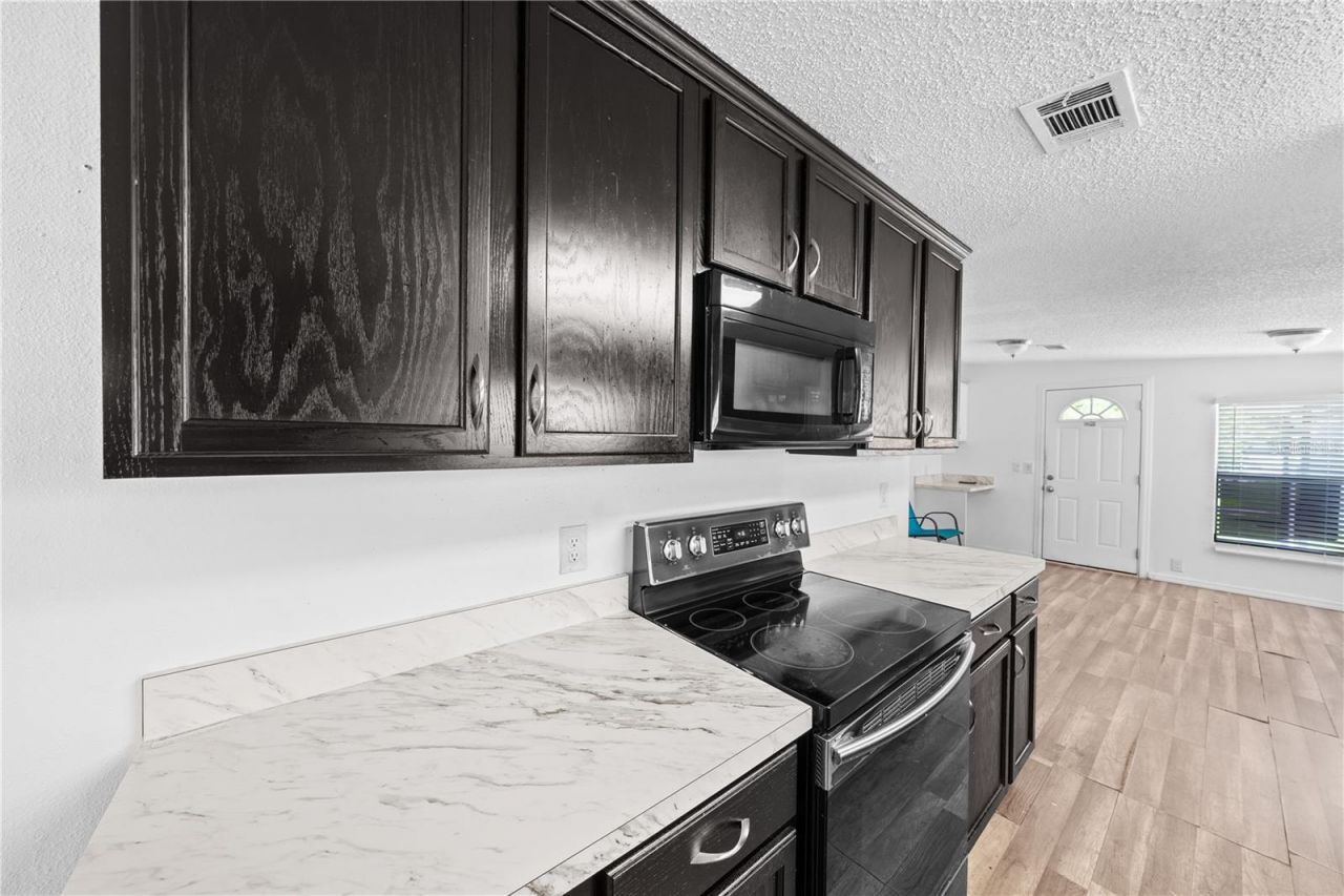 1148 Mary Frances Drive , Kissimmee, FL 34741 Photo